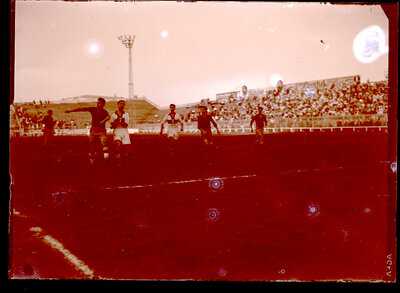 Fotografie necatalogată, cota BU-FD-01073-9-00086-0007
