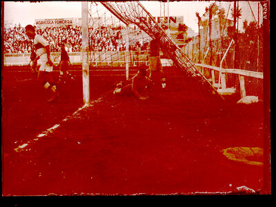 Fotografie necatalogată, cota BU-FD-01073-9-00086-0009