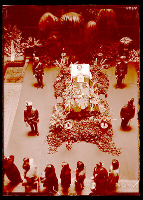 Fotografie necatalogată, cota BU-FD-01073-9-00087-0012