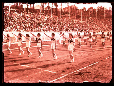 Fotografie necatalogată, cota BU-FD-01073-9-00088-0009