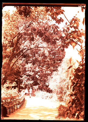 Fotografie necatalogată, cota BU-FD-01073-9-00089-0014