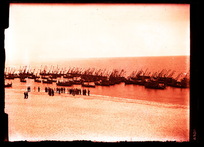 Fotografie necatalogată, cota BU-FD-01073-9-00092-0008
