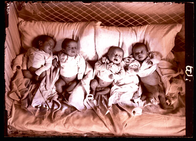 Fotografie necatalogată, cota BU-FD-01073-9-00092-0012
