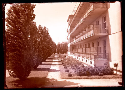 Fotografie necatalogată, cota BU-FD-01073-9-00092-0013