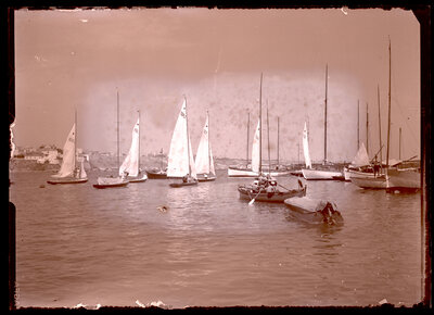 Fotografie necatalogată, cota BU-FD-01073-9-00094-0006