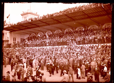 Fotografie necatalogată, cota BU-FD-01073-9-00094-0014
