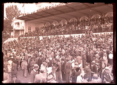 Fotografie necatalogată, cota BU-FD-01073-9-00094-0017
