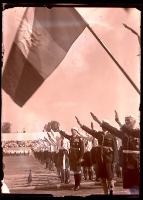 Fotografie necatalogată, cota BU-FD-01073-9-00098-0010