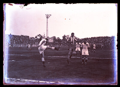 Fotografie necatalogată, cota BU-FD-01073-9-00104-0015