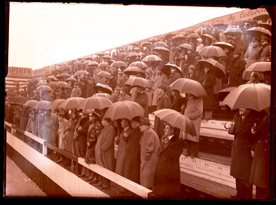 Fotografie necatalogată, cota BU-FD-01073-9-00112-0016