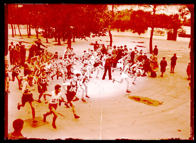 Fotografie necatalogată, cota BU-FD-01073-9-00114-0008