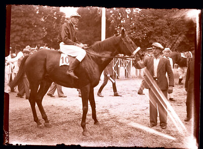 Fotografie necatalogată, cota BU-FD-01073-9-00114-0013