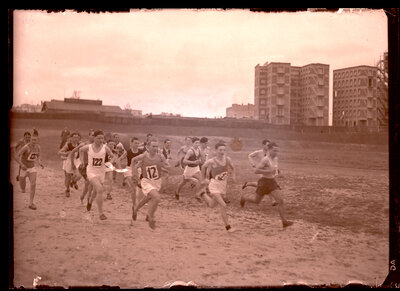 Fotografie necatalogată, cota BU-FD-01073-9-00121-0013