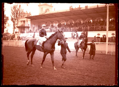 Fotografie necatalogată, cota BU-FD-01073-9-00128-0005