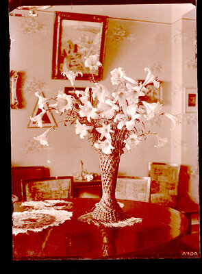 Fotografie necatalogată, cota BU-FD-01073-9-00129-0011