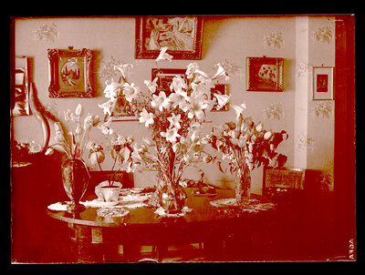 Fotografie necatalogată, cota BU-FD-01073-9-00129-0012