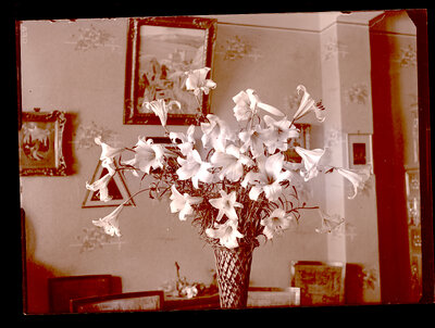 Fotografie necatalogată, cota BU-FD-01073-9-00129-0013