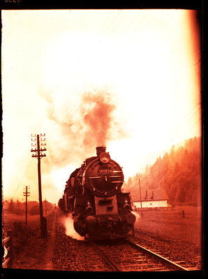 Fotografie necatalogată, cota BU-FD-01073-9-00130-0002