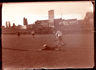 Fotografie necatalogată, cota BU-FD-01073-9-00131-0001