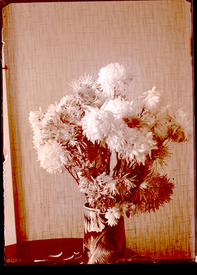 Fotografie necatalogată, cota BU-FD-01073-9-00133-0010