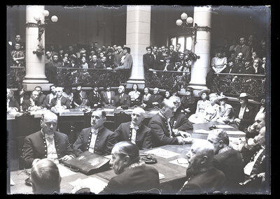 Fotografie necatalogată, cota BU-FD-01073-9-00137-0002