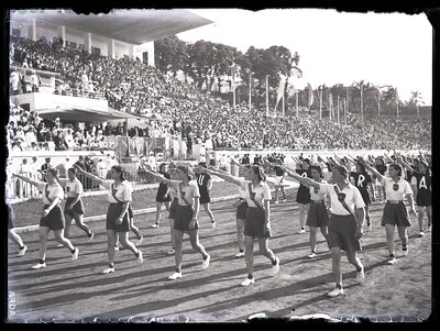 Fotografie necatalogată, cota BU-FD-01073-9-00143-0007