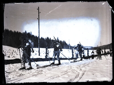 Fotografie necatalogată, cota BU-FD-01073-9-00144-0005