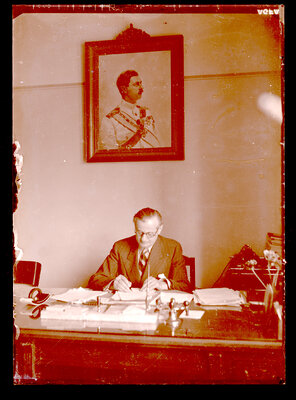 Fotografie necatalogată, cota BU-FD-01073-9-00146-0005