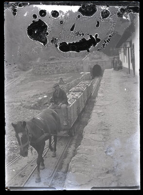 Fotografie necatalogată, cota BU-FD-01073-9-00147-0003