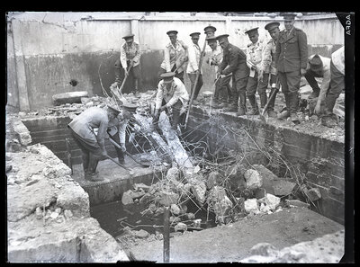 Fotografie necatalogată, cota BU-FD-01073-9-00148-0005