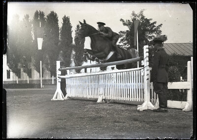 Fotografie necatalogată, cota BU-FD-01073-9-00157-0014