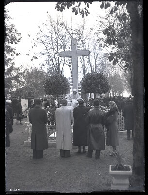 Fotografie necatalogată, cota BU-FD-01073-9-00168-0003