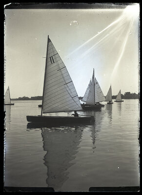 Fotografie necatalogată, cota BU-FD-01073-9-00168-0016