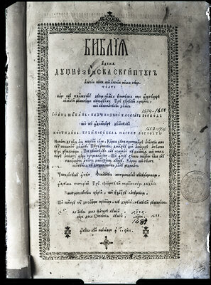 Fotografie necatalogată, cota BU-FD-01073-9-00176-0001