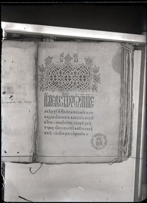 Fotografie necatalogată, cota BU-FD-01073-9-00176-0013