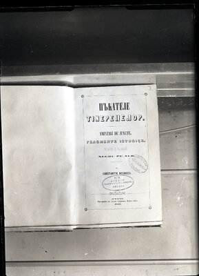 Fotografie necatalogată, cota BU-FD-01073-9-00176-0015