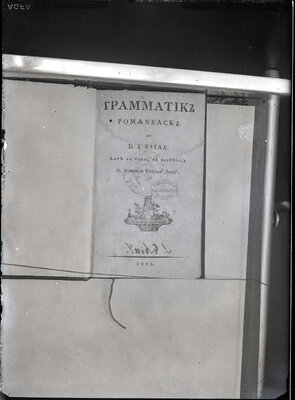 Fotografie necatalogată, cota BU-FD-01073-9-00176-0016