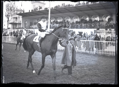 Fotografie necatalogată, cota BU-FD-01073-9-00185-0011