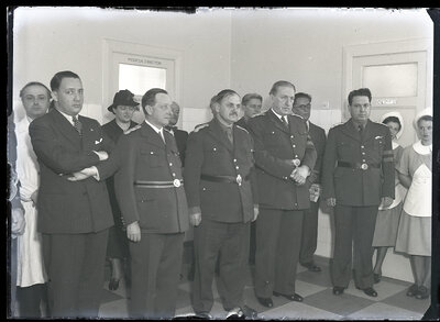 Fotografie necatalogată, cota BU-FD-01073-9-00192-0015