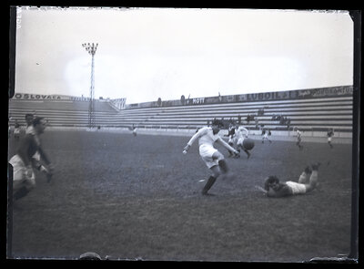 Fotografie necatalogată, cota BU-FD-01073-9-00194-0011