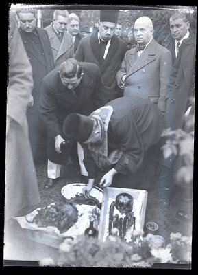 Fotografie necatalogată, cota BU-FD-01073-9-00195-0002