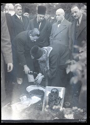 Fotografie necatalogată, cota BU-FD-01073-9-00195-0003