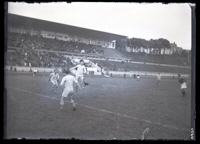 Fotografie necatalogată, cota BU-FD-01073-9-00195-0015