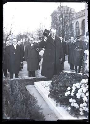 Fotografie necatalogată, cota BU-FD-01073-9-00196-0009