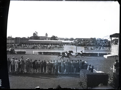 Fotografie necatalogată, cota BU-FD-01073-9-00197-0001