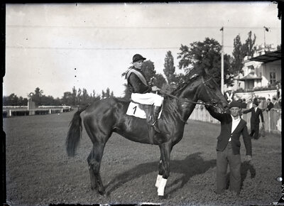 Fotografie necatalogată, cota BU-FD-01073-9-00197-0016