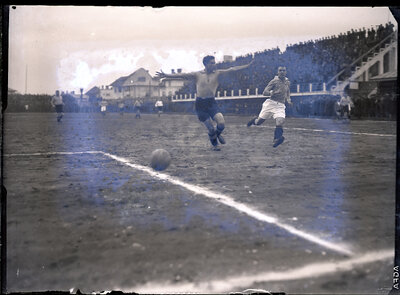 Fotografie necatalogată, cota BU-FD-01073-9-00206-0001