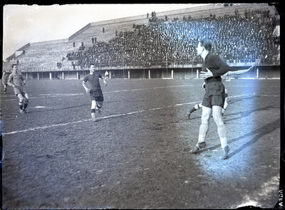 Fotografie necatalogată, cota BU-FD-01073-9-00206-0002
