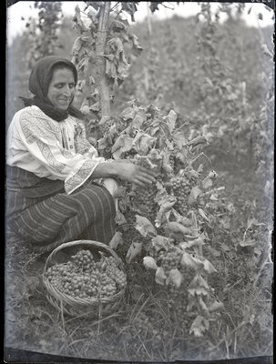 Fotografie necatalogată, cota BU-FD-01073-9-00208-0006