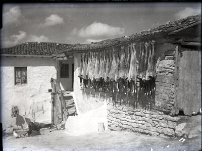Fotografie necatalogată, cota BU-FD-01073-9-00208-0008
